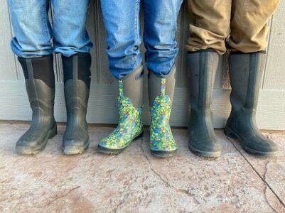 Rattlesnakes on the Homestead Image